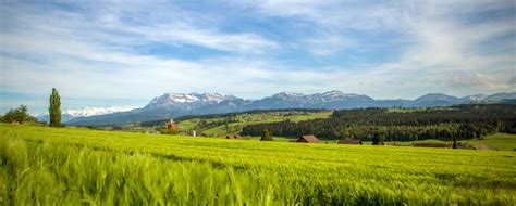 sonnefeld ruswil|Sonnefeld Ruswil :: Wohnüberbauung «Sonnefeld»,。